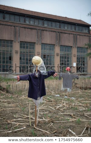 Stockfoto: Scarecrow Made Of Old Clothes In A Field