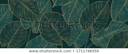 Stok fotoğraf: Summer Seamless Pattern With White Monstera Palm Leaves On Blue