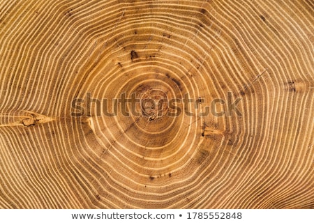 Stockfoto: Full Frame Wooden Background