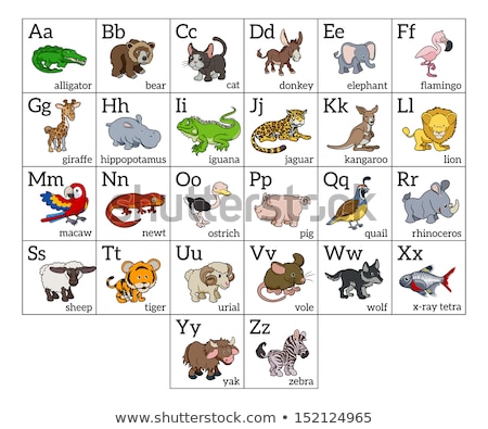 Сток-фото: Animal Alphabet Chart Set