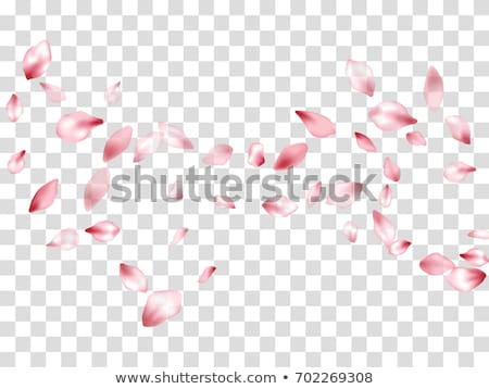 Stockfoto: Peach Cherry Blossom Flowers Background Pattern