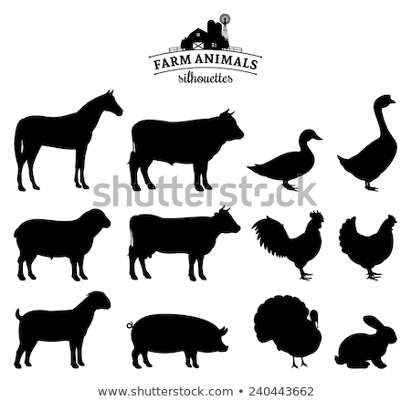 Stockfoto: Sheep Farm Animal Silhouette