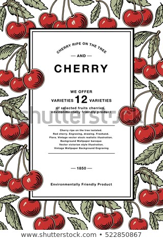 [[stock_photo]]: Red Cherry Card Frame Engraving Drawing Fruits Vintage Vector