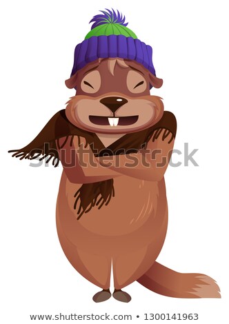 Zdjęcia stock: Groundhog Day Is Cold Groundhog Frozen Winter Weather Forecast