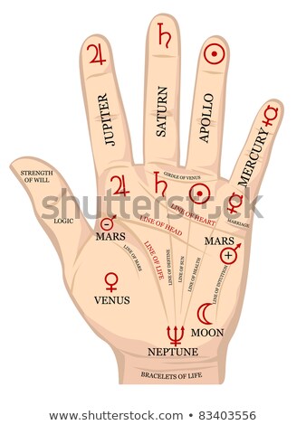 ストックフォト: Palm With Fate Lines Diagram