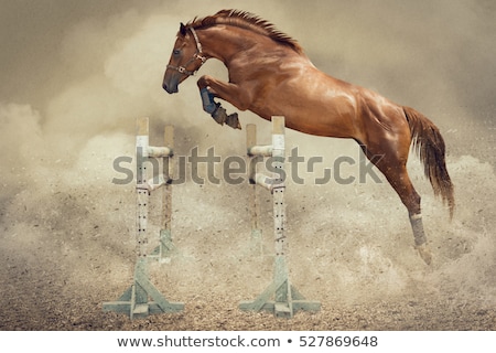 Stok fotoğraf: Jumping Horse