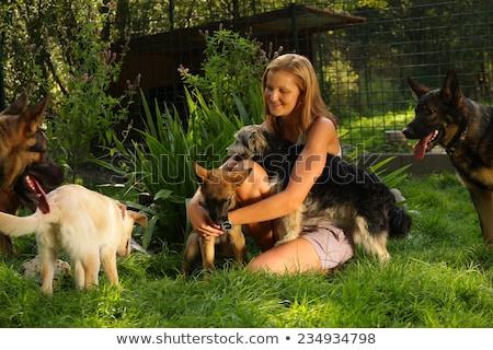 Foto stock: Smiling Young Blonde Posing With Two Dogs