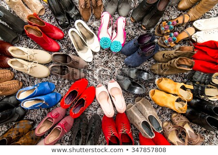 Stockfoto: Brown Womens Shoes