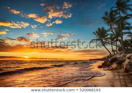 ストックフォト: Tropical Island Beach Landscape