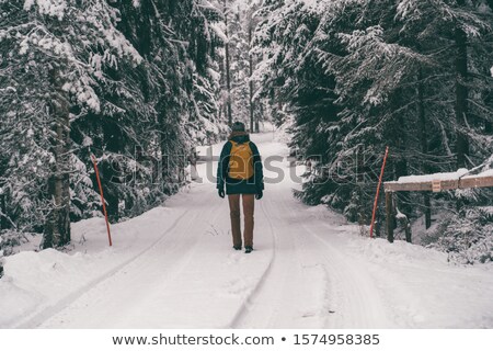 Foto stock: Man Walking In The Snow Forest