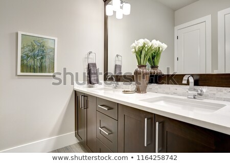 ストックフォト: Bathroom Modern Interior With Dark Hardwood Cabinets And Large M