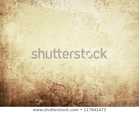 Hi Res Grunge Textures And Backgrounds Сток-фото © ilolab