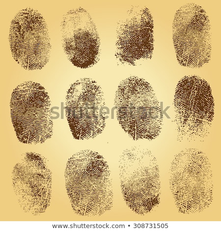 Stock foto: Identification Fingerprints Sketches Set Vector