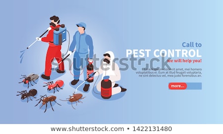 Foto stock: Home Pest Insects Control Concept Vector Illustration