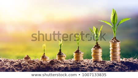 Foto stock: Investment