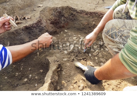 Stock fotó: Archaeological Excavations