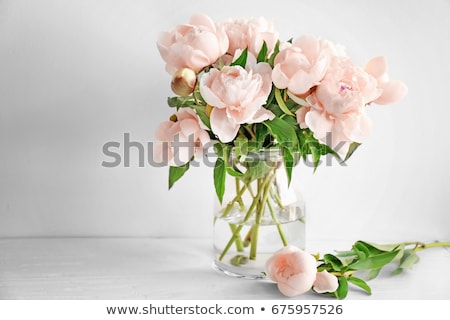 Zdjęcia stock: Flowers In A Vase