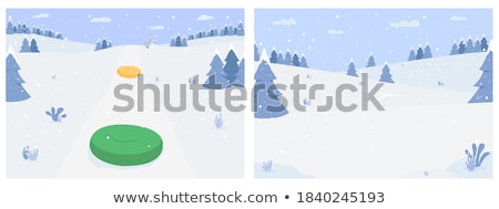 Stok fotoğraf: Snowy Forest