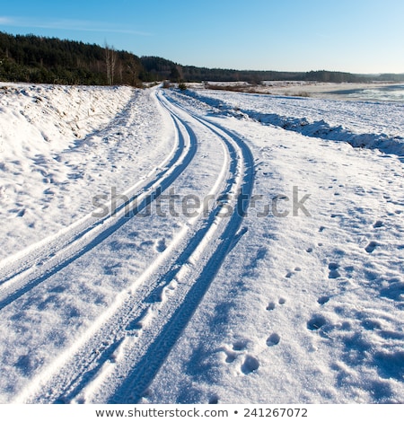 Zdjęcia stock: Mark Of Tire On Snow Field In Winter