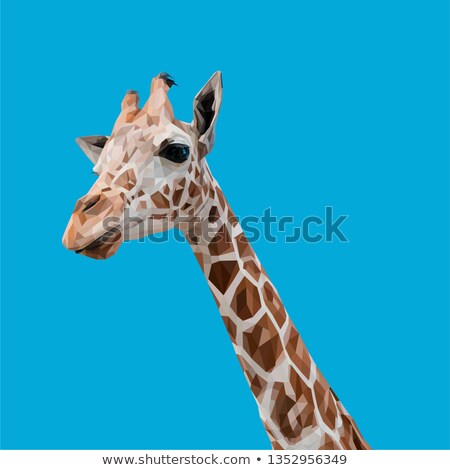 Foto stock: Abstract Giraffes Face In Origami Style On White Background