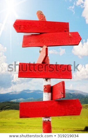 Stok fotoğraf: Red Arrow Sign Against Meadow And Sky