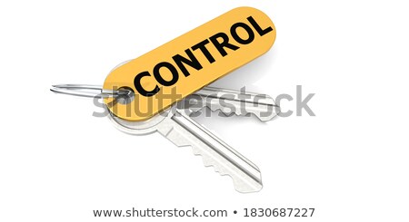 Stock photo: Keys With Word Efficiency On Golden Label