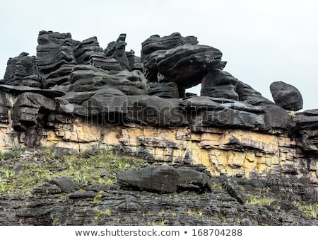 Foto stock: Bizarre Ancient Rocks Of The Plateau Roraima Tepui - Venezuela Latin America