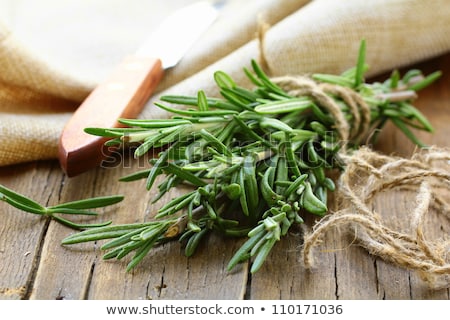 Zdjęcia stock: Bunch Of Fresh Rosemary