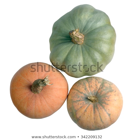 Zdjęcia stock: Three Colored Pumpkins Isolated On White