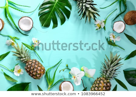 Foto stock: Tropical Beach Template