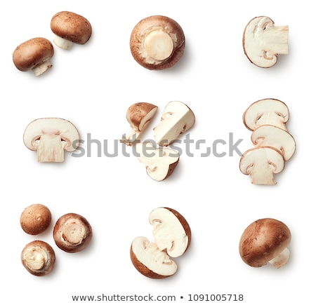 ストックフォト: Isolate Mushrooms Champignon
