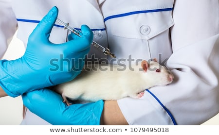 Stok fotoğraf: Woman In Uniform Injects Syringe To Rat