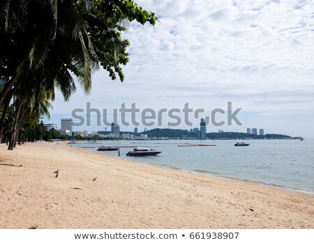 Foto stock: Few Palm Trees With Green Brown Leaves On Sunny Sky Background