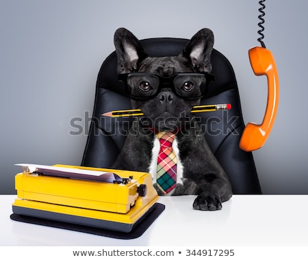 Stock photo: Business Dog Typewriter