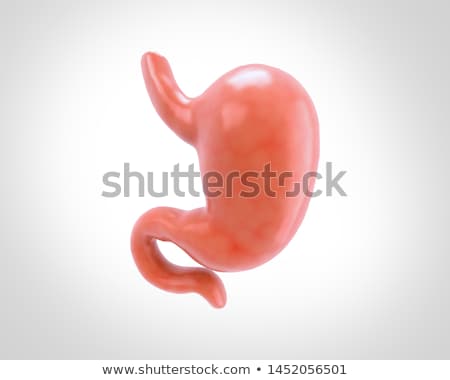 Foto stock: 3d Rendered Illustration - Stomach