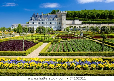 Stockfoto: Gardens And Chateau De Villandry In Loire Valley In France