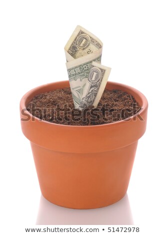 Foto stock: Growing Dollars In Flower Pot Conceptual Image