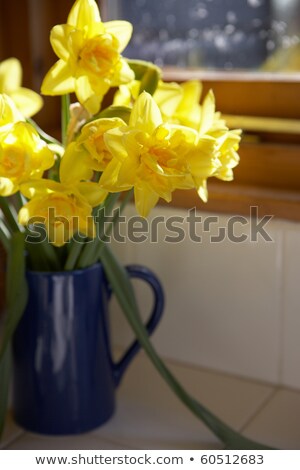 Foto stock: Vase Of Daffodils In Blue Jug On Window Sill
