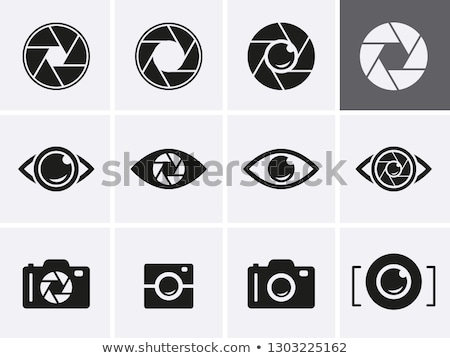 Stock fotó: Logo Icon Of A Shutter Eye Vector Illustration