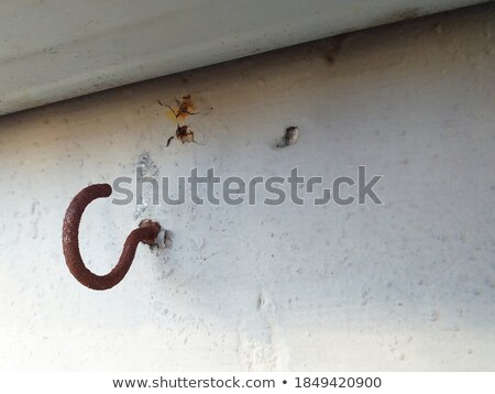 Сток-фото: Detail Of Rusty Iron Hook