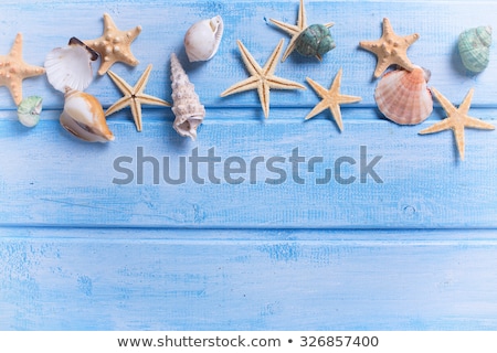 Stockfoto: Sea Frame Different Marine Items On Blue Wooden Background Sea