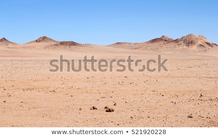 [[stock_photo]]: Dunes Pure Nature Beautiful Landscape