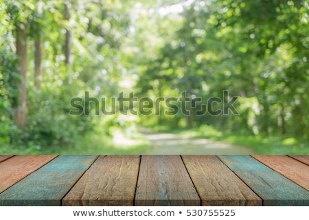 Stok fotoğraf: Selected Focus Empty Wooden Table And View Of Green Forest Blur