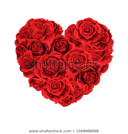 商業照片: Red Roses And Hearts For Valentines Day