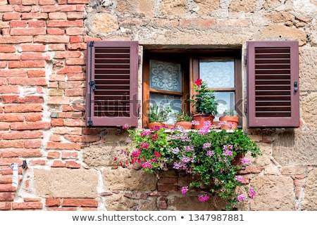 Stockfoto: Tuscany Flowers