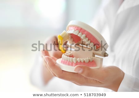 Stockfoto: Holding Facial Dental Prosthesis
