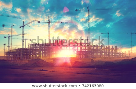 Stock photo: Cranes At Sunset