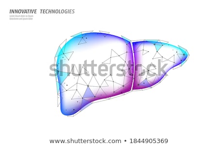 Stok fotoğraf: Diagnosis - Cirrhosis Medical Concept 3d Render