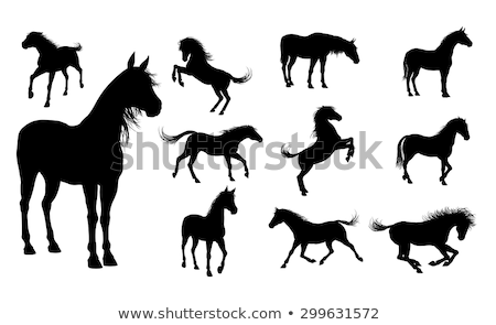 Сток-фото: Horse Silhouette In Gallop Pose