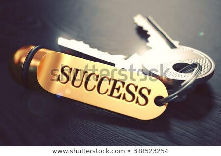Stock fotó: Positivity Concept Keys With Golden Keyring
